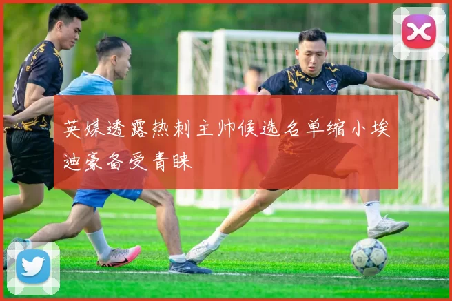 英媒透露热刺主帅候选名单缩小埃迪豪备受青睐